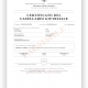 Certificato del Casellario Giudiziale