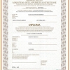 Diploma scolastico