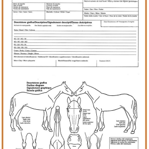passaporto-equino