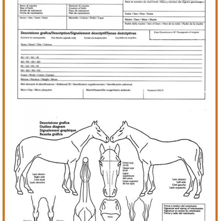 passaporto-equino